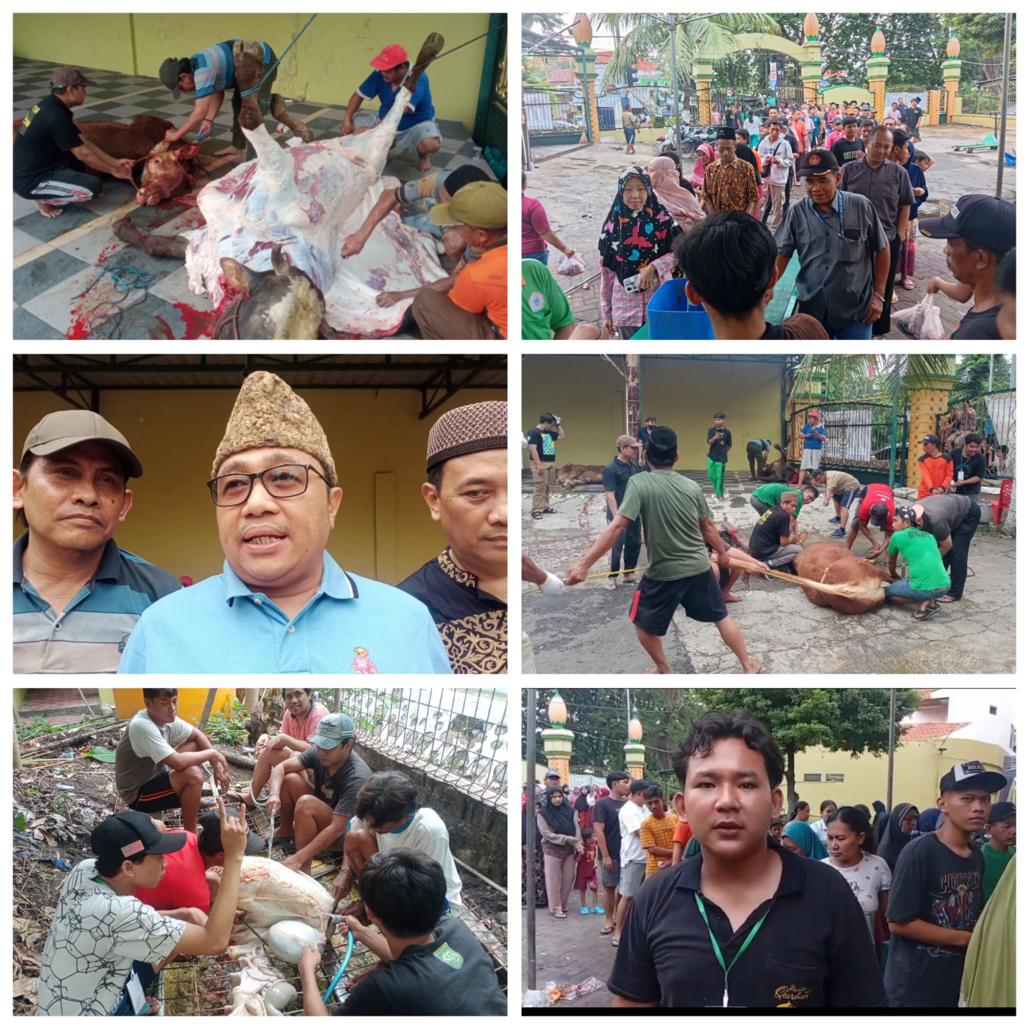 Masjid Thoriqul Jannah Jalan Sutorejo 192 Penyembelihan Kurban Idul Adha 1446 H